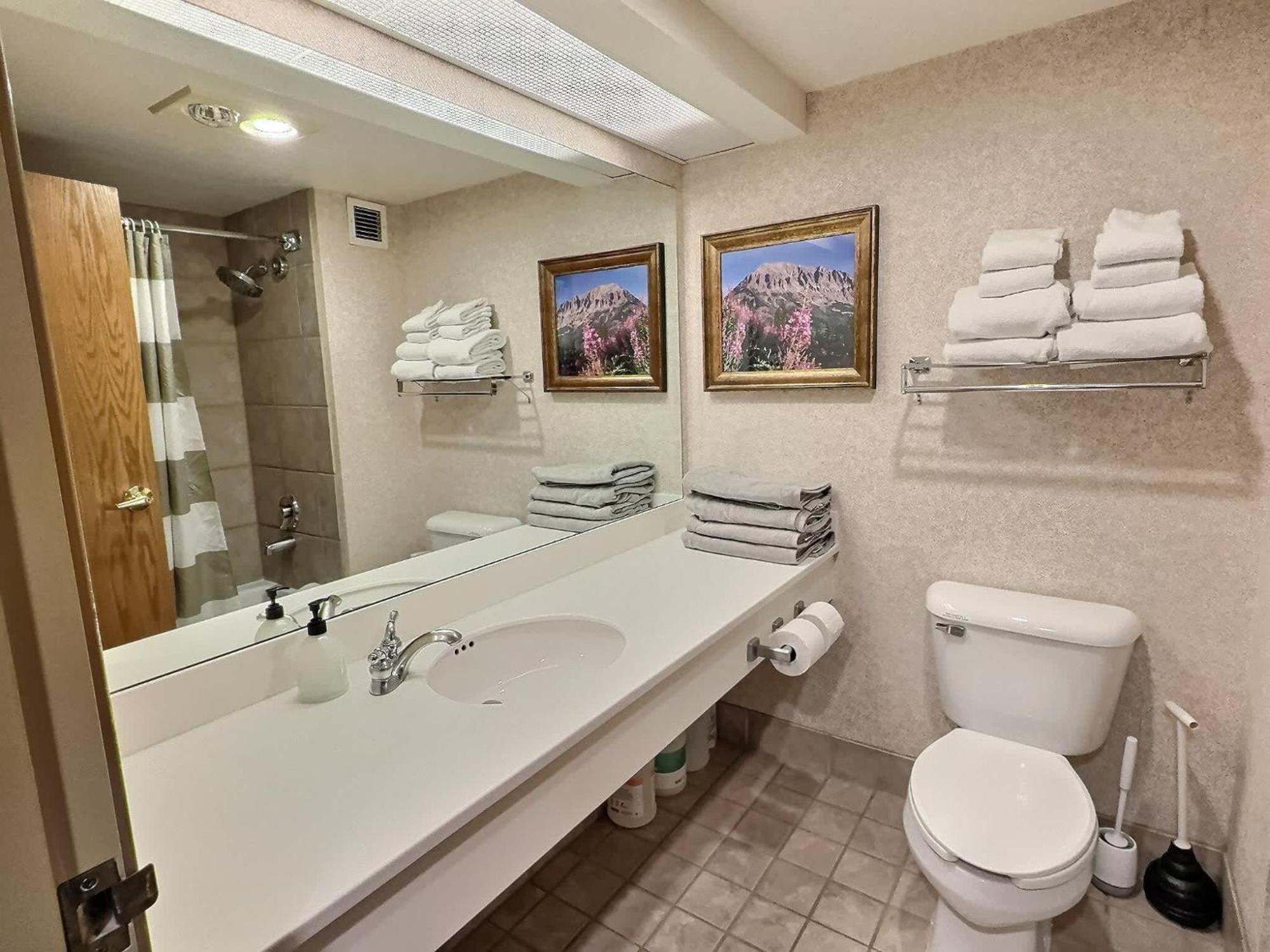Villa 1Bd 274 Perfect Location With Pool And Hot Tub à Crested Butte Extérieur photo